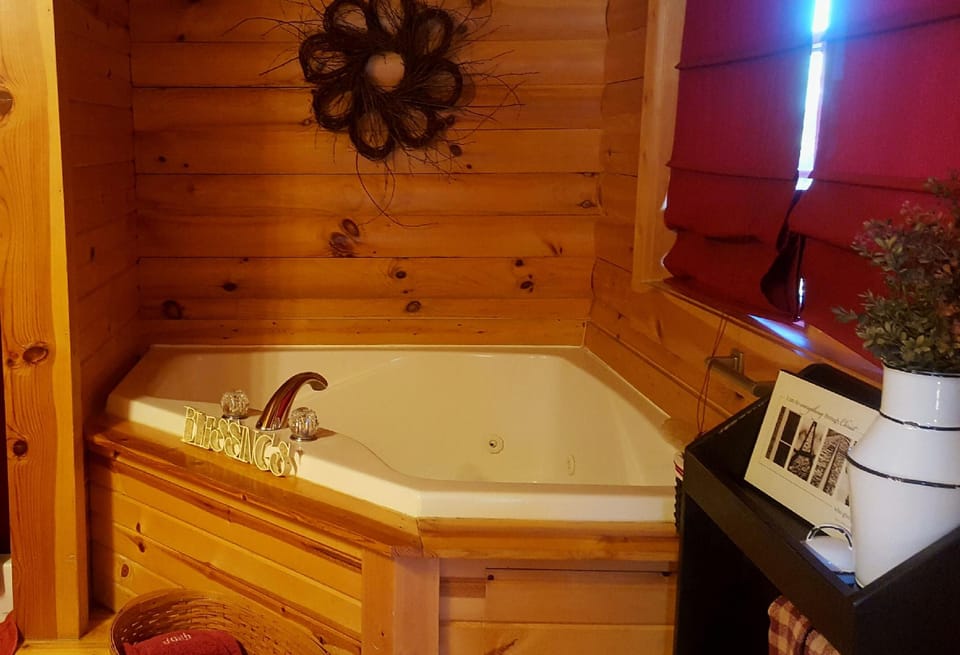 Amish Blessings Cabins Hotel in Berlin