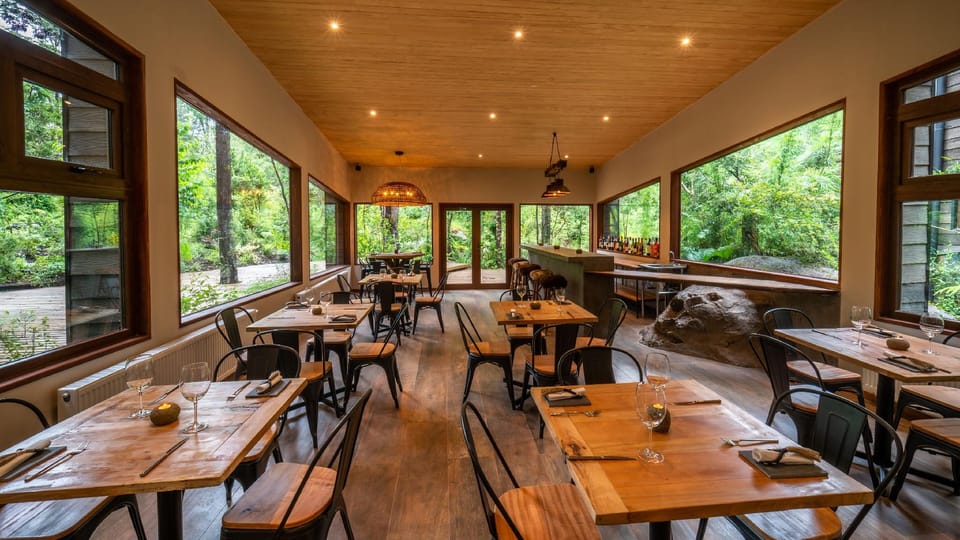 rakau lodge Hotel in Pucon