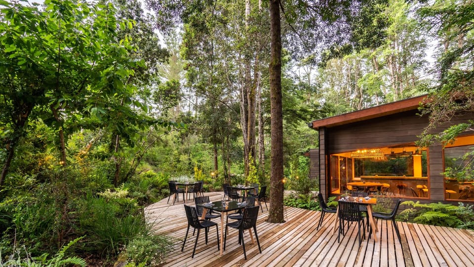 rakau lodge Hotel in Pucon