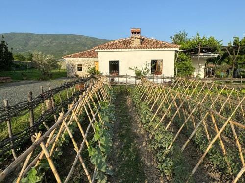 Guesthouse Vitoria - Mrizi i Zanave Hotel in Montenegro