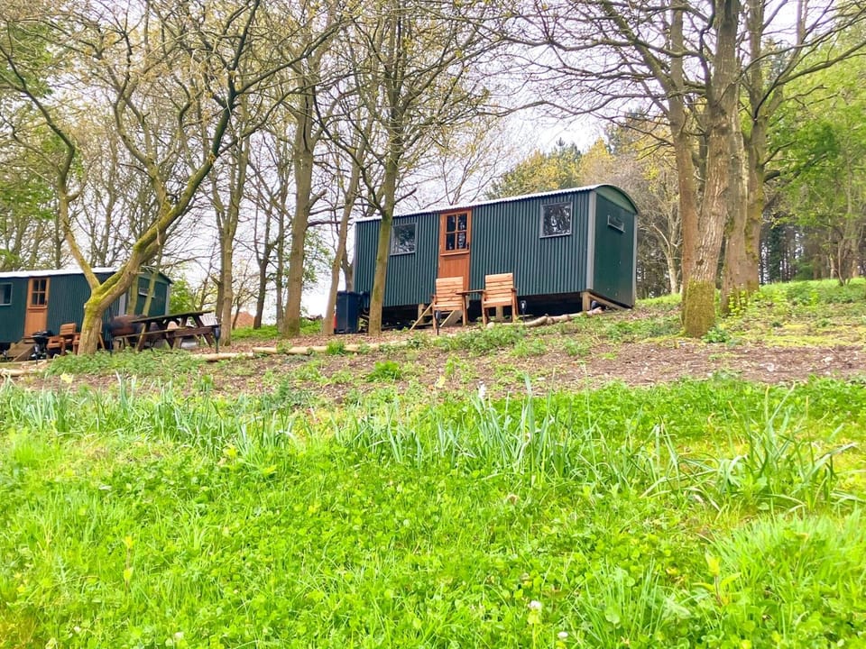 North Norfolk Glamping Lodge in Holt