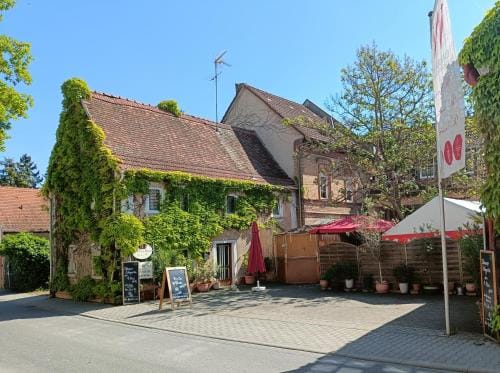 Weingut Weinstube Weinhotel Wolf Hotel in Mainz