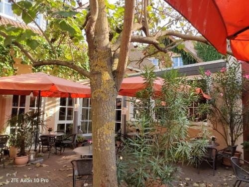 Weingut Weinstube Weinhotel Wolf Hotel in Mainz