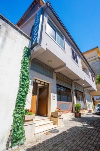 Hotel Pepe Hotel in Montenegro