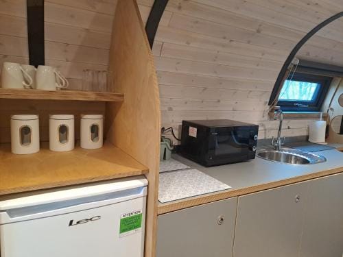 Celtic Minor Pods Lodge in Wales