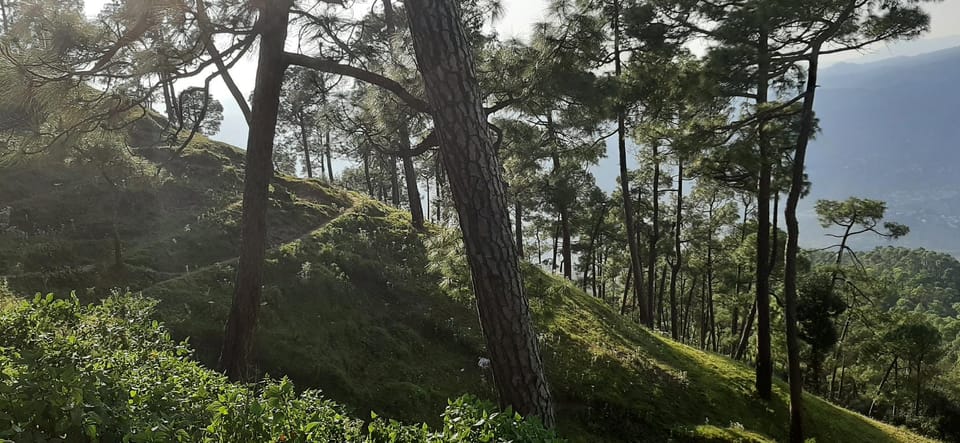 Kasar Hill Top Hotel in Uttarakhand