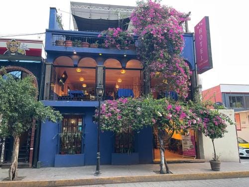 Hotel Maria Luisa Hotel in State of Oaxaca
