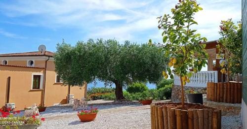 Cassiopea B&B Marina di Camerota SA Hotel in Basilicata