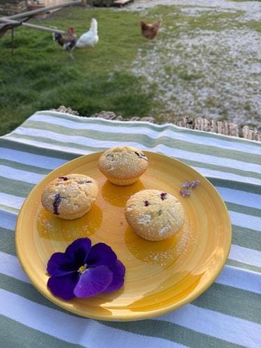 B&B Le Rondini Ostra Senigallia Ancona Hotel in Marche