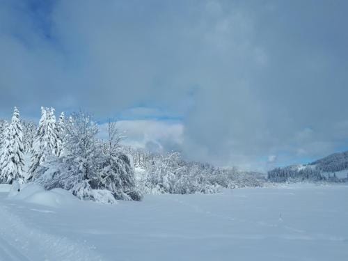 Le Chalet Lamoura Haut-Jura Hotel in Haute-Savoie