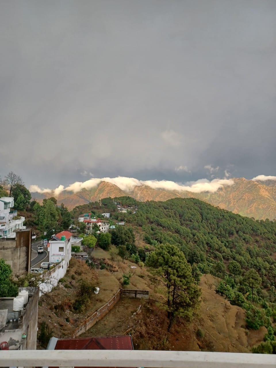 View