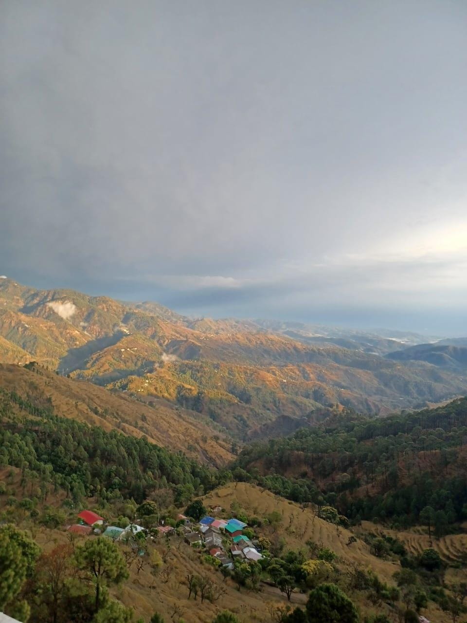 View