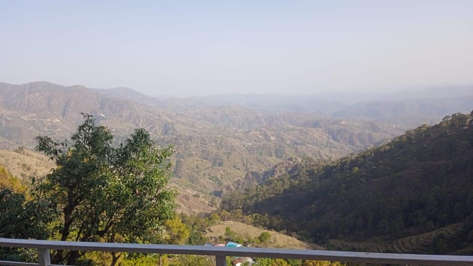 View
