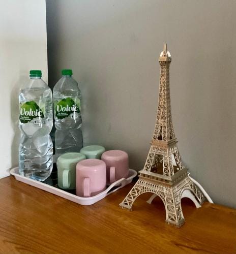 Female dorm- Femme dortoir Paris 8pm-10am Hostel in Île-de-France