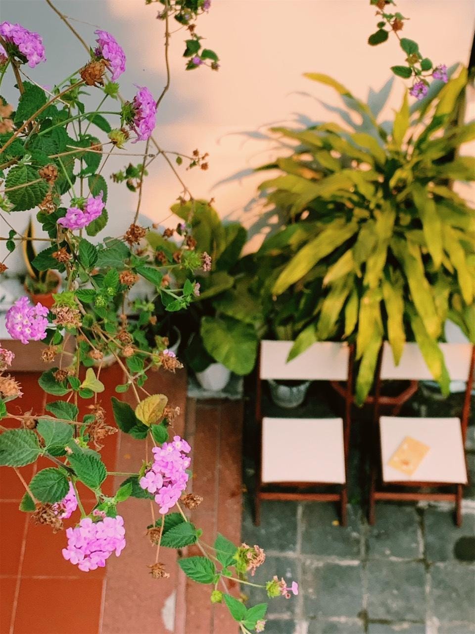 An Hien homestay Hoi An Hotel in Hoi An
