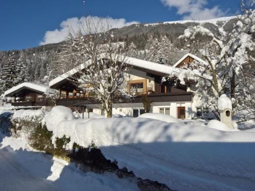 Haus Hasslacher Hotel in Carinthia, Austria