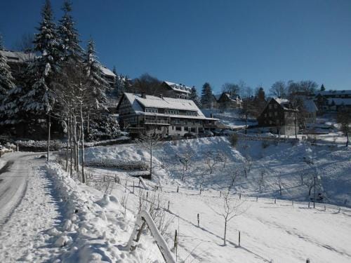 Pension Droste- Vogt Hotel in Winterberg