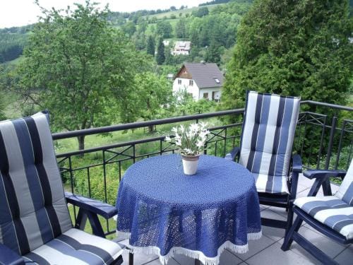 Pension Beste-Schnurbus Hotel in Winterberg