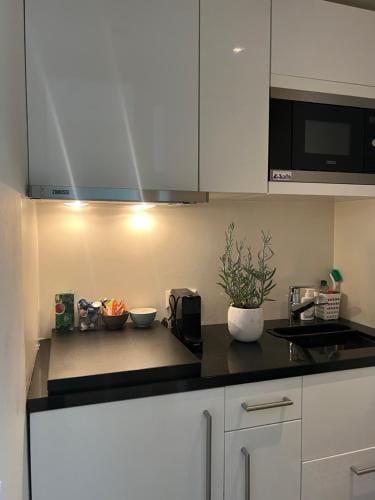 Great Apartment Amsterdam Hotel in Amsterdam