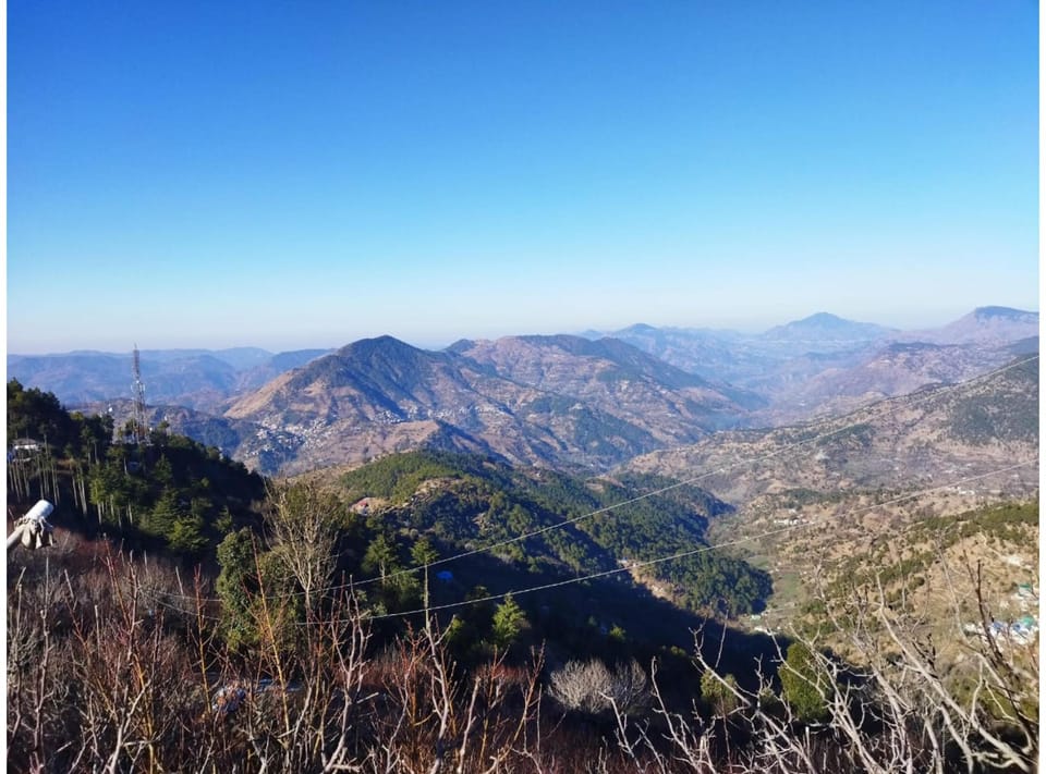 Splendid view Eco orchard Resort Resort in Himachal Pradesh