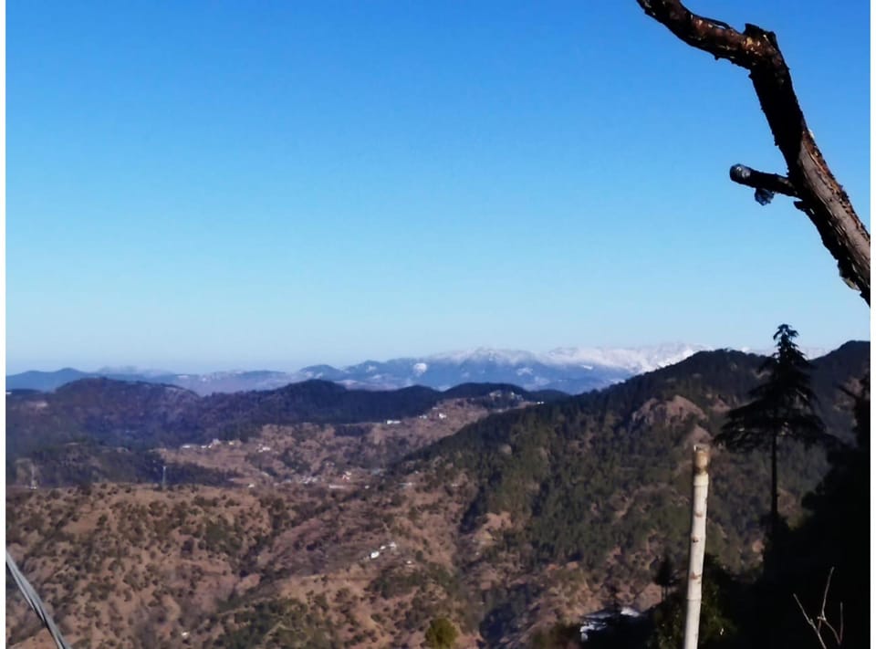 Splendid view Eco orchard Resort Resort in Himachal Pradesh