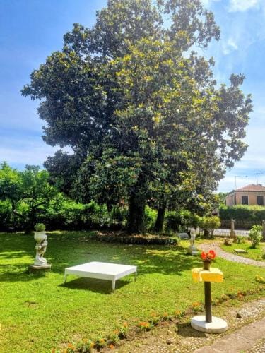 Villa Nani Mocenigo, Golin Hotel in Dolo