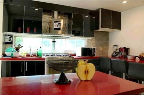 Suite de huespedes, con alberca Hotel in Hidalgo, Mexico
