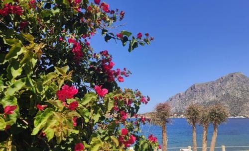 Agialos Rooms Inn in Kalymnos