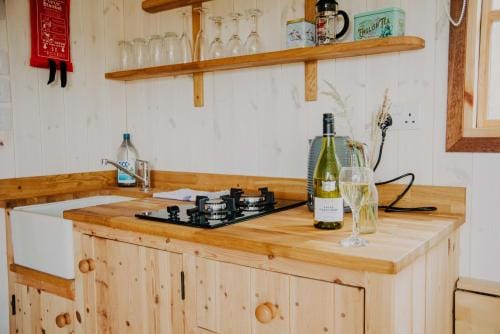 Ash Hut Wiveliscombe Lodge in Taunton Deane