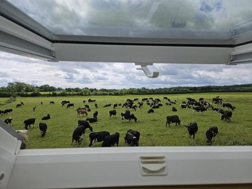 Lovely Laois Loft Apartment Hotel in Ireland