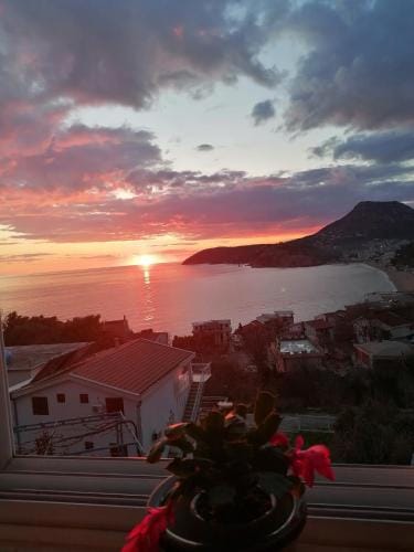 Apartmanes Volaric M Hotel in Montenegro