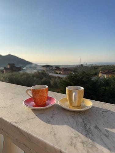 Casa degli ulivi Hotel in Liguria