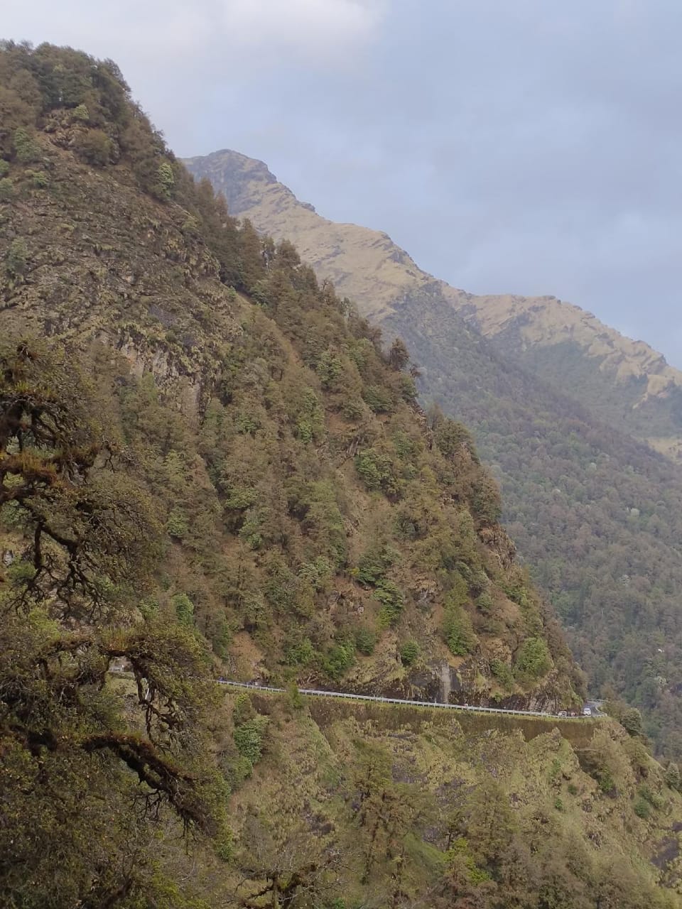 Amar Resort Chopta Tung Nath Hostel in Uttarakhand