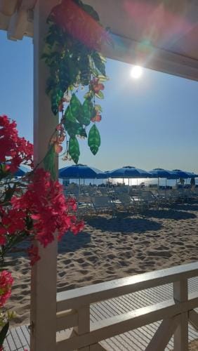 Albergo Regina Hotel in Senigallia