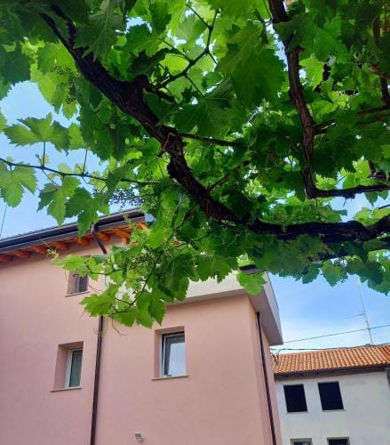 B&B La dolce Vite Hotel in Friuli-Venezia Giulia