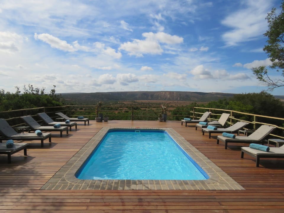 Swimming pool [outdoor]