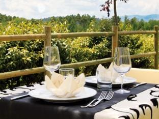 Apartment in Tuscany near Chianti Vineyards Hotel in Tuscany