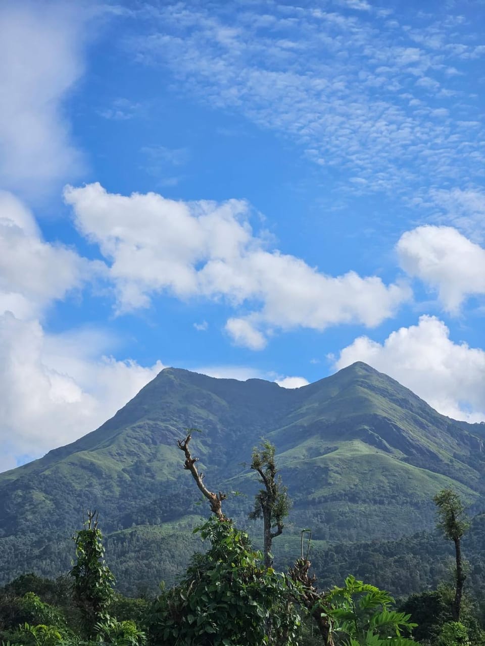 View