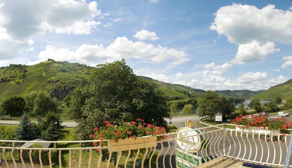 Hotel Weinhaus Moselblick Hotel in Cochem-Zell