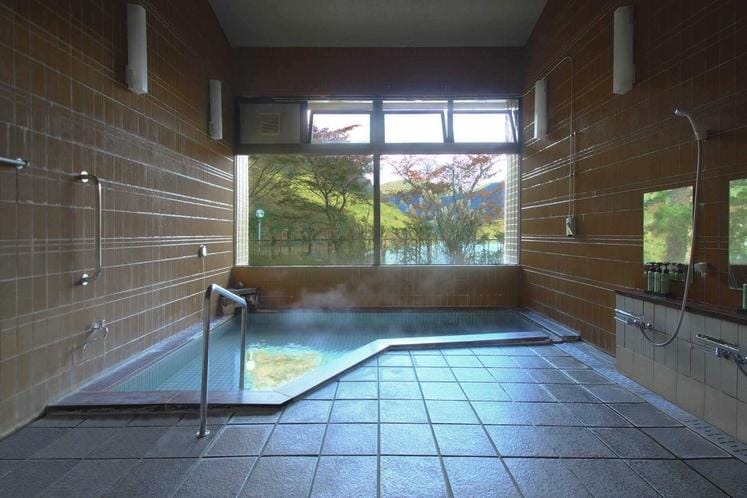 Seikoso Hotel in Japan