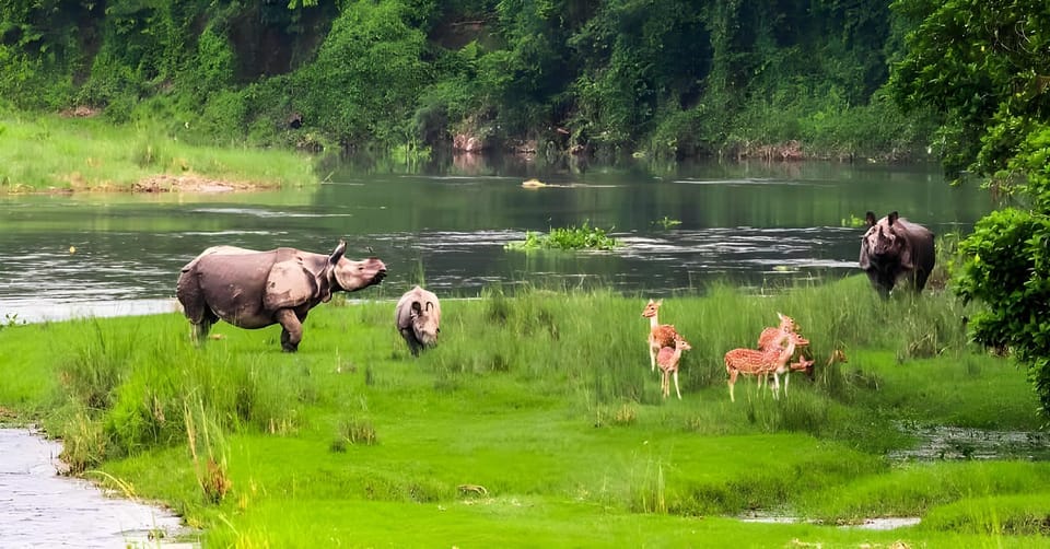 Rainbow Safari Resort Resort in Bagmati Province, Nepal