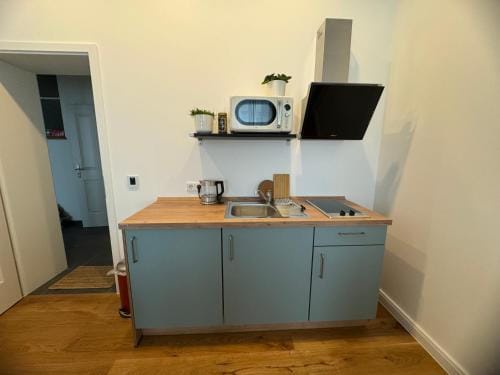 Boutique Hotel Pension Luisengrun Kuche 1Gbs WLAN Netflix Disney MagentaTV Hotel in Chemnitz