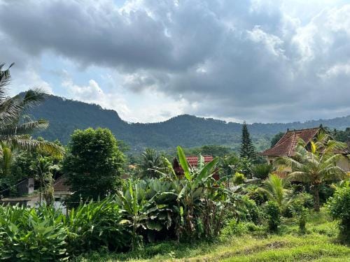 D'Janu Homestay Lodge in Sidemen