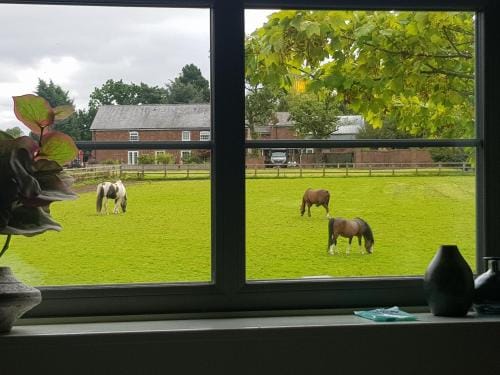 Rylands Farm Guest House Hotel in England