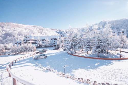 Guesthouse Junior Hotel in Serbia