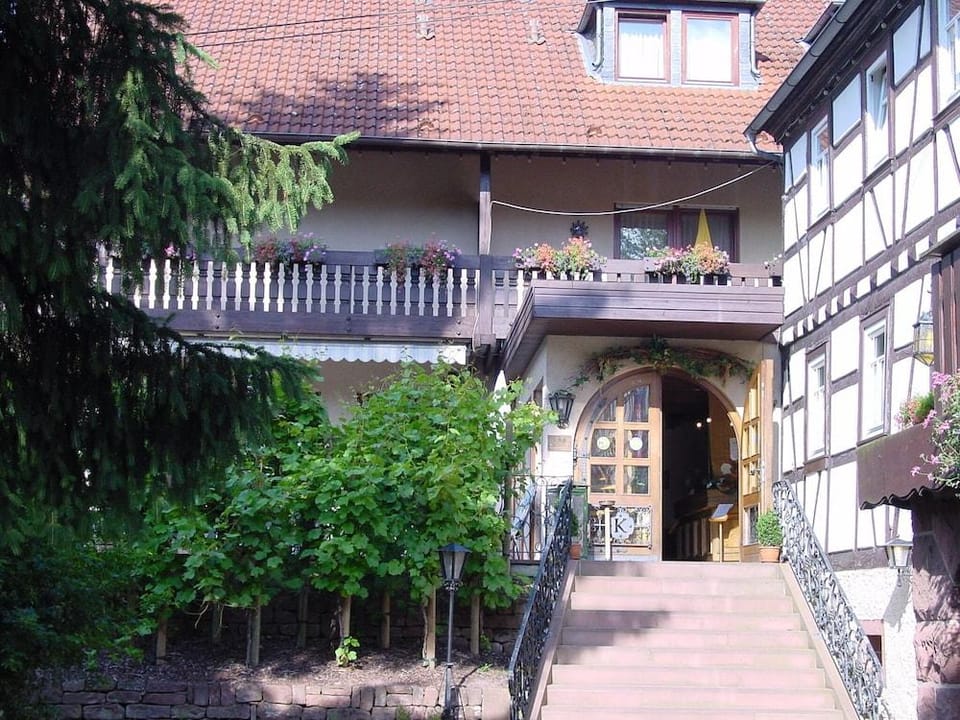 Hotel Restaurant Paradeismühle Hotel in Hesse