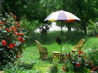 Red Rose Cottages Manali Hotel in Himachal Pradesh