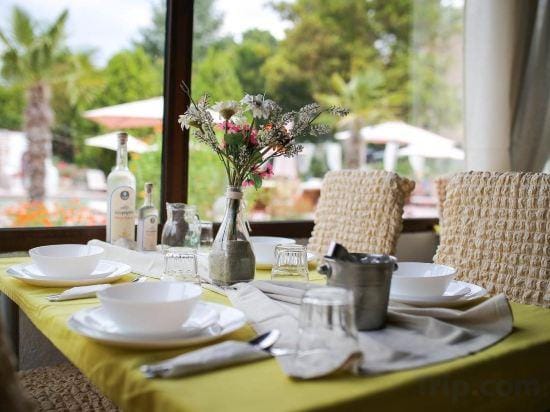 Jenny Hotel Hotel in Halkidiki