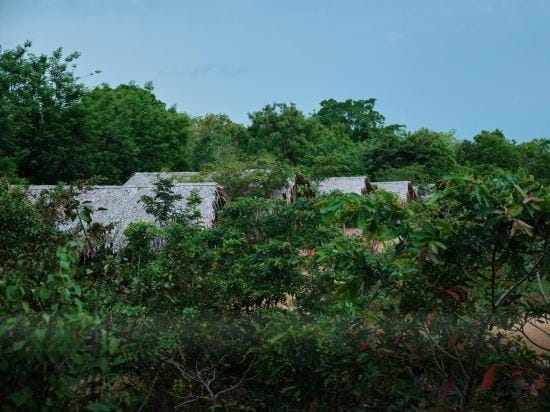 Forest Lodge Eco Camp Hotel in Southern Province