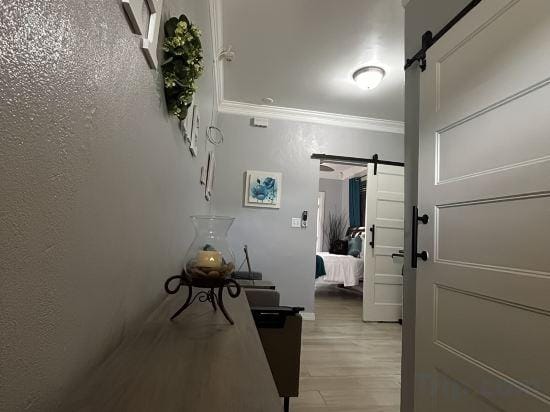 Kozy Bahamas Getaway Hotel in Nassau